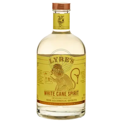 Lyre's White Cane