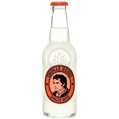 Thomas Henry Spicy Ginger 24x200ml