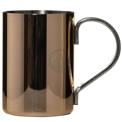 Copper Plated Mug 