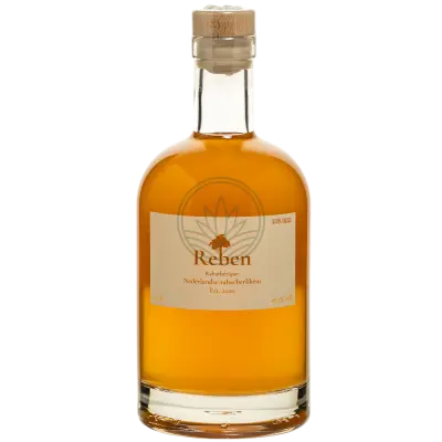 Reben Rabarber