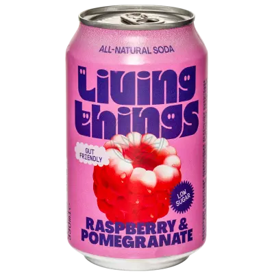 Living Things Raspberry & Pomegranate 12x330ml Can
